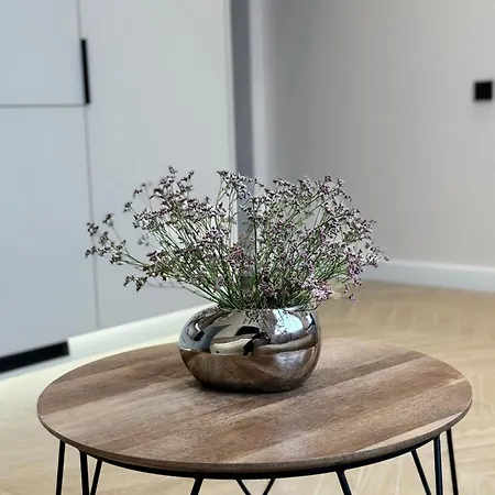 Lightsummerpalanga *