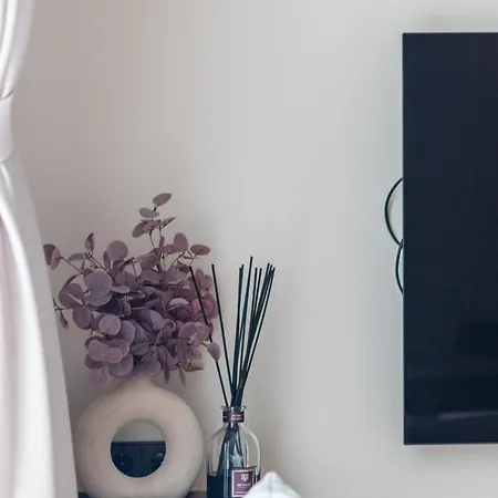 Lightsummerpalanga *