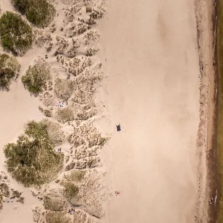 Lightsummerpalanga *