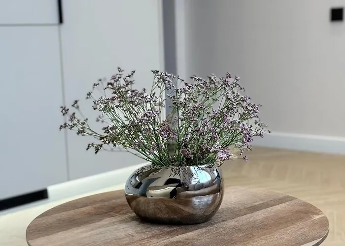 Lightsummerpalanga *