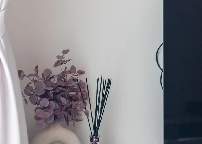 Lightsummerpalanga *