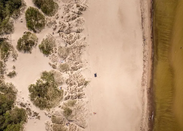 Lightsummerpalanga *